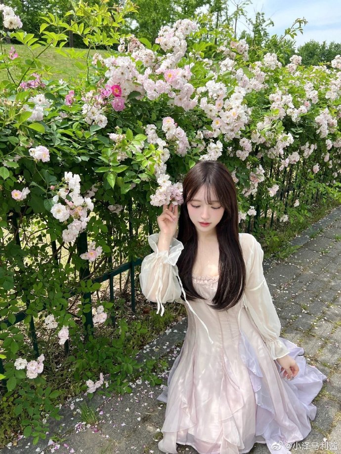 云襄传 封面