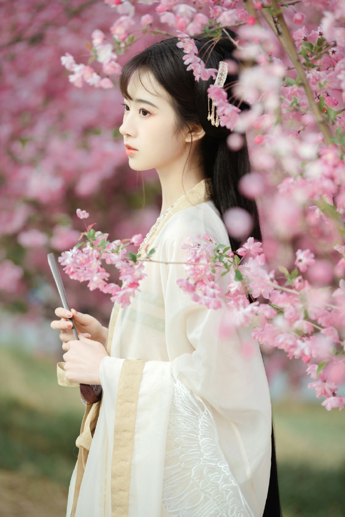 疯狂的石头